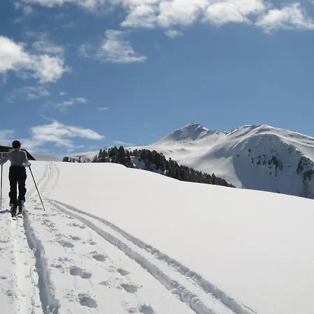 דירה Fankhauser היינצנברג